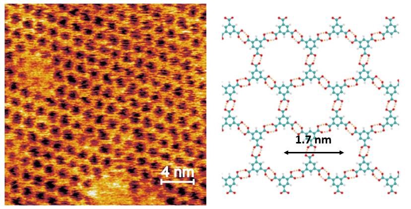 23-11-29_Singel Molecule_image.jpg